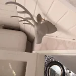 Kotimajoitukset Viinikan Tähti Lemmikkiystävällinen Tampere