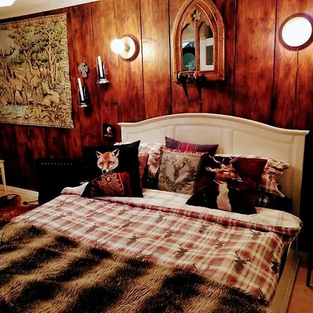 Viinikan Taehti Lemmikkiystaevaellinen Tampere