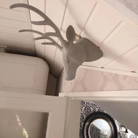 Habitación en casa particular Viinikan Taehti Lemmikkiystaevaellinen Tampere