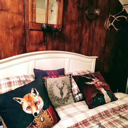 Habitación en casa particular Viinikan Taehti Lemmikkiystaevaellinen Tampere