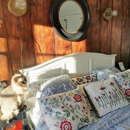 Viinikan Taehti Lemmikkiystaevaellinen * Tampere