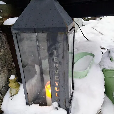 Viinikan Taehti Lemmikkiystaevaellinen * Tampere