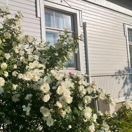 Viinikan Taehti Lemmikkiystaevaellinen Kotimajoitus *