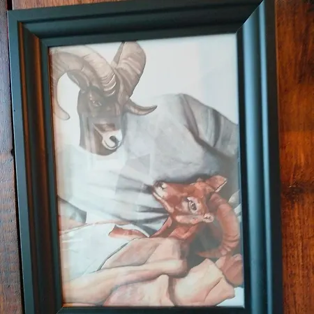 Viinikan Taehti Lemmikkiystaevaellinen * Tampere