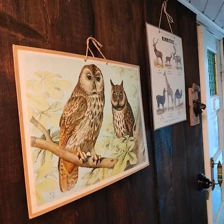 Viinikan Taehti Lemmikkiystaevaellinen Habitación en casa particular *