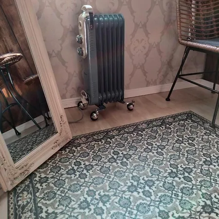 Viinikan Taehti Lemmikkiystaevaellinen * Tampere