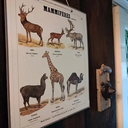 Habitación en casa particular Viinikan Taehti Lemmikkiystaevaellinen *