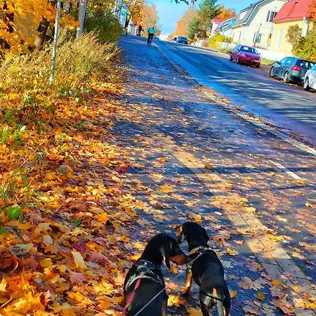 Viinikan Taehti Lemmikkiystaevaellinen Kotimajoitus *