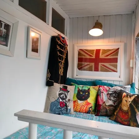 Viinikan Taehti Lemmikkiystaevaellinen Tampere