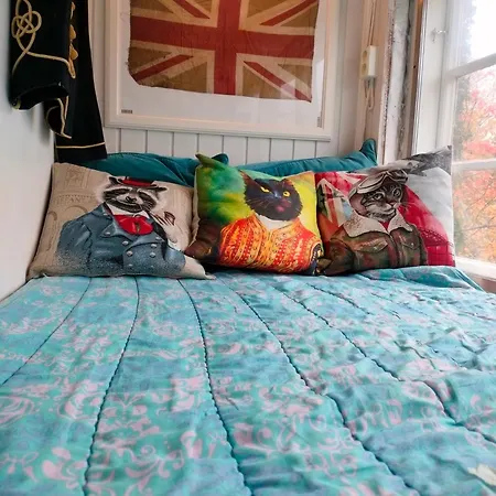 Viinikan Taehti Lemmikkiystaevaellinen * Tampere