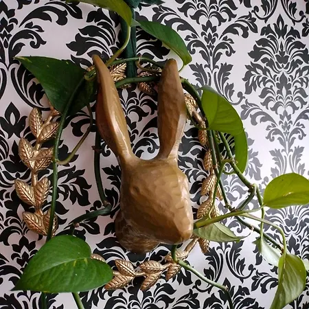 Viinikan Taehti Lemmikkiystaevaellinen