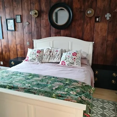 Habitación en casa particular Viinikan Taehti Lemmikkiystaevaellinen