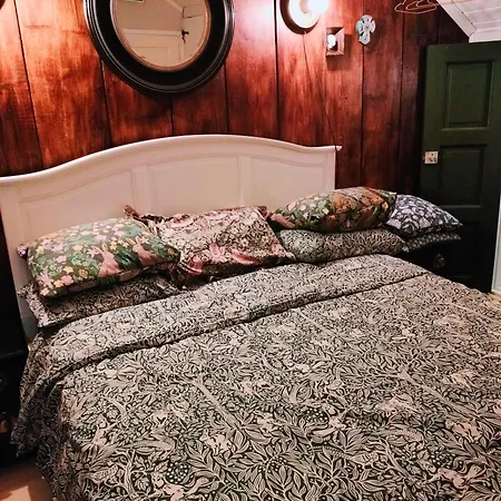 Viinikan Taehti Lemmikkiystaevaellinen Tampere