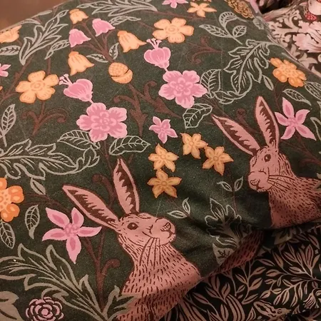 Viinikan Taehti Lemmikkiystaevaellinen Kotimajoitus * Tampere