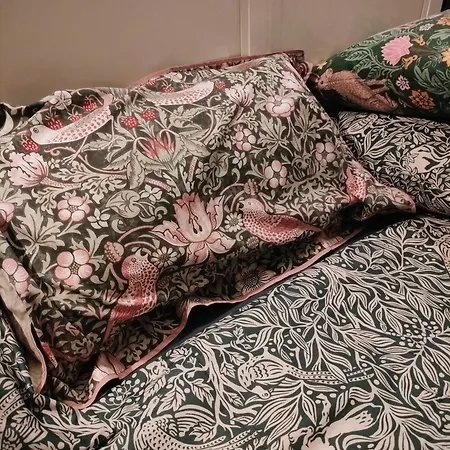 Homestay Viinikan Taehti Lemmikkiystaevaellinen Kotimajoitus *
