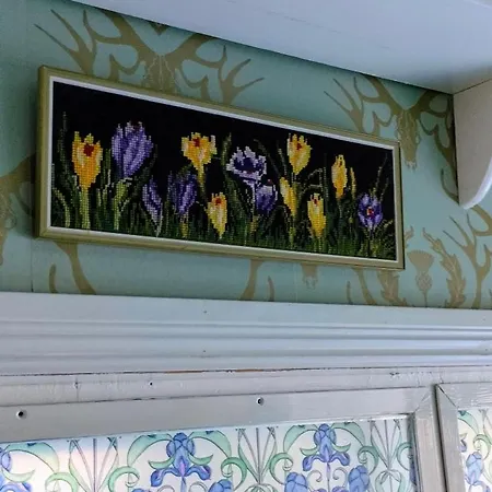 Viinikan Taehti Lemmikkiystaevaellinen * Tampere