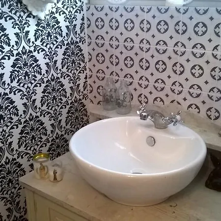 Viinikan Taehti Lemmikkiystaevaellinen Tampere